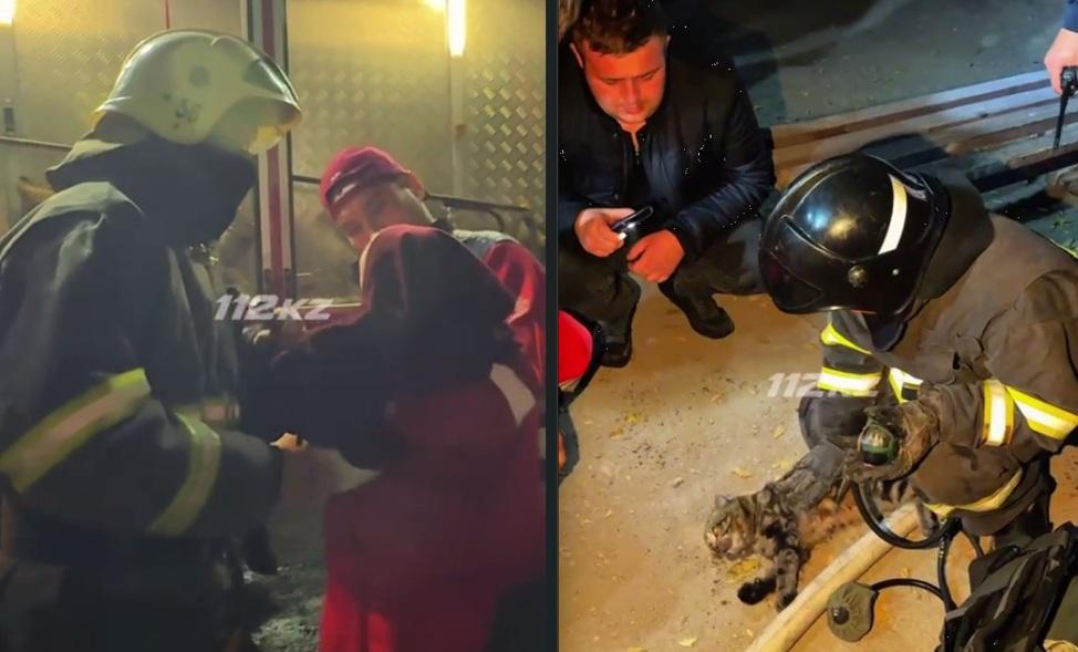 В Сатпаеве спасатели эвакуировали 14 человек из горящей пятиэтажки и спасли кошку